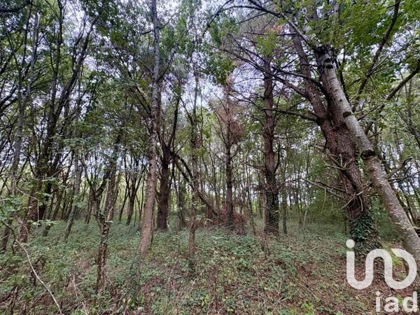 Terrain à vendre 44 521 m² Oudon