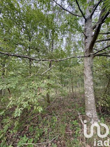 Terrain à vendre 44 521 m² Oudon