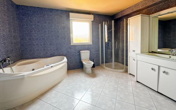 Maison à vendre    6 pièces • 288,72 m2 Toulouse