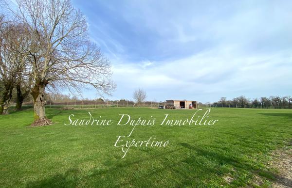 Chermignac (17460) CHERMIGNAC : Magnifique propriété rénovée 6 chambres. Idéale pour activité de chambres d'hôte, grande f