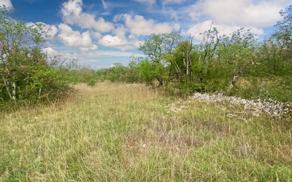 Maison à vendre    1 pièce •  Puylaroque