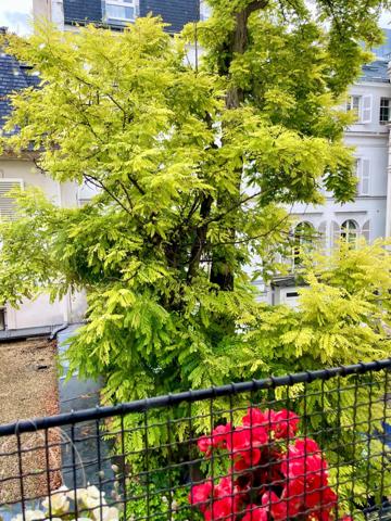 Appartement F6 à vendre  6 pièces - 142 m2 PARIS - 75008