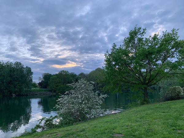 Maison individuelle en viager occupé
