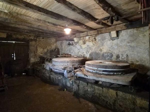 Maison ancienne - Les eyzies Ancien Moulin en Périgord Noir - 3 chambres, ruisseau, dépendances et 3 hectares de nature
