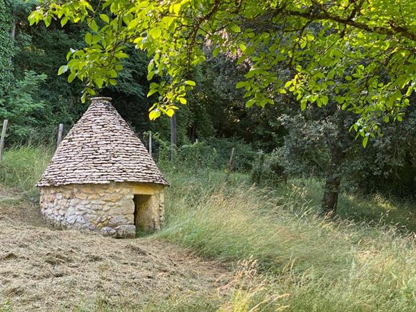 Maison de maître Sarlat La Caneda 9 pièce(s) 245 m2