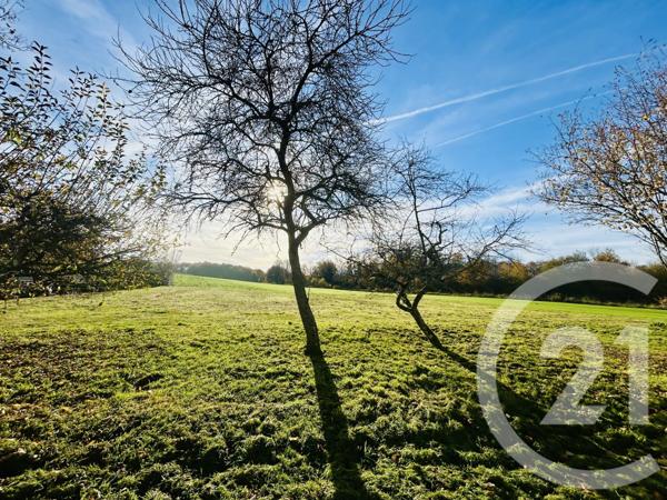 Terrain à vendre  2087 m2 ESTERNAY - 51