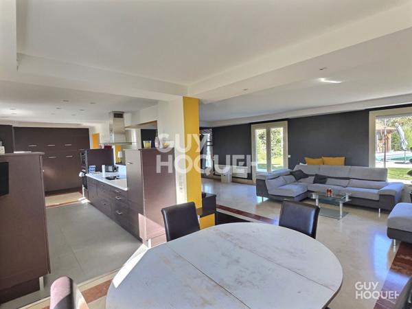 Maison d'exception à vendre à Chamagnieu - 8 pièces, piscine, grand terrain