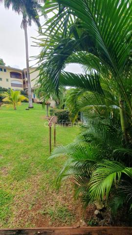 VOTRE APPARTEMENT A STE ANNE 97227_ LE CHARME TROPICAL A DEUX PAS DE LA PLAGE- *