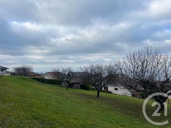 Terrain à vendre  561 m2 NEUVECELLE - 74