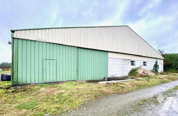 ACHAT : LOCAL DIVERS - Goudelin - Côtes-d'Armor (22)