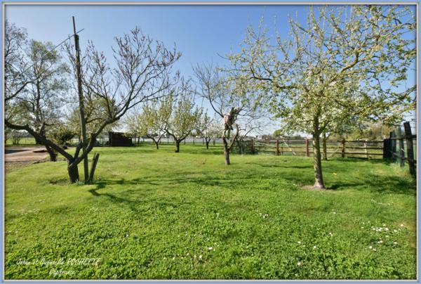 Dpt Maine et Loire (49), à vendre BEAUFORT EN ANJOU Propriété P10 de 210 m² - Terrain de 12 849,00 m²