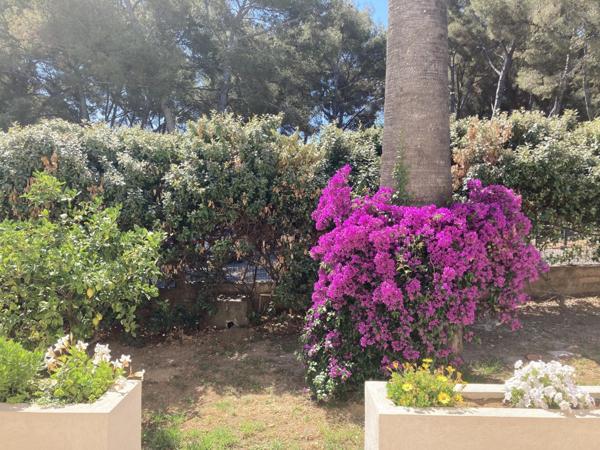 Un cadre d’exception avec accès privé à la mer