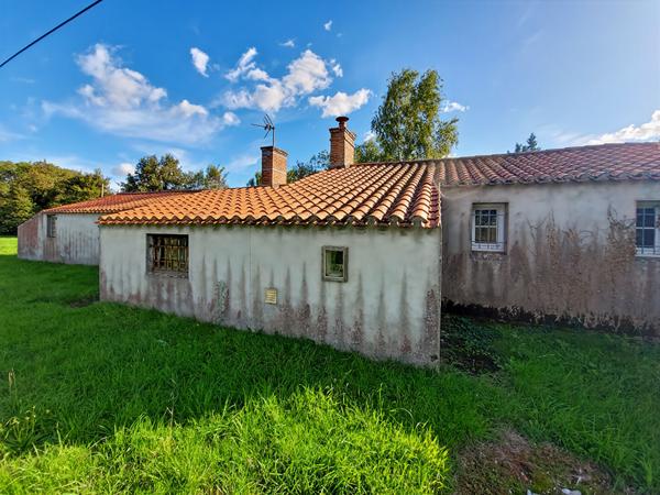 SALLERTAINE , maison de 39 m² à restaurer sur plus de 1 hectare !