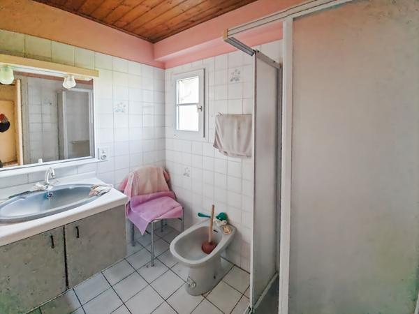 SALLERTAINE , maison de 39 m² à restaurer sur plus de 1 hectare !