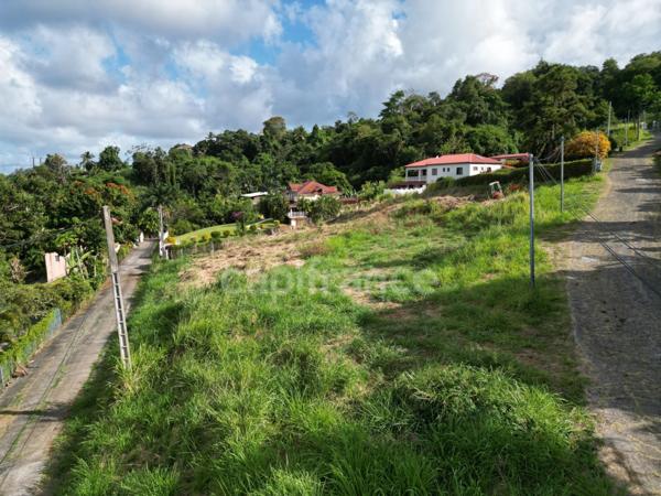 A vendre Terrain de 2822m² avec vue mer - La crique - TRINITE