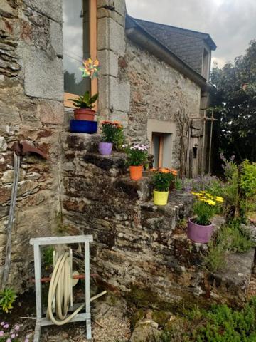 Maison à vendre 8 pièces THEIX NOYALO 56450 Morbihan Bretagne Sud