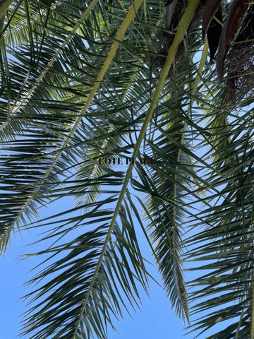 Royan (17200) ROYAN VILLA CONTEMPORAINE 210m2 DE 2022 proche centre ville avec PISCINE au prix de 875.000€ FAI