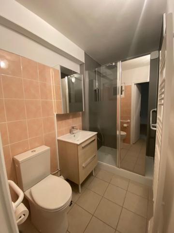 Appartement Chateauneuf Sur Loire 3 pièce(s) 53 m2