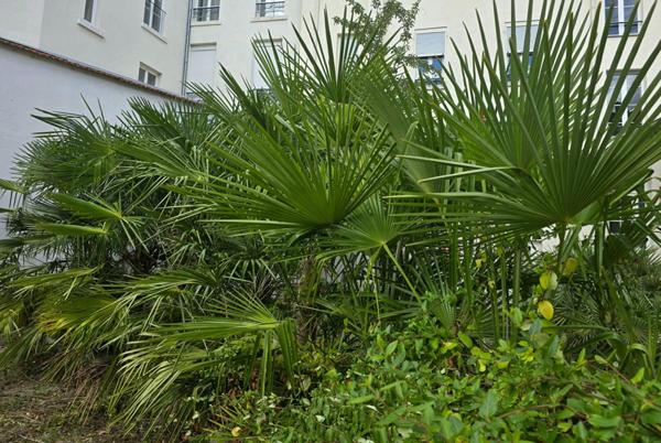 Appartement Vichy 2 pièce(s) 46 m2