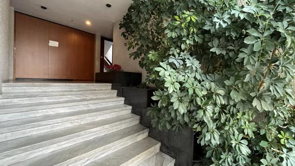 Bureaux Saint-Augustin 125m²