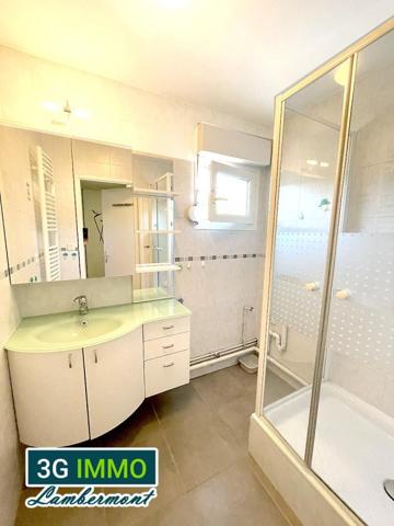 Vente / Appartement à Longwy (54400)