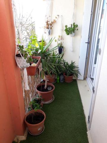 Appartement Montpellier 3 pièces ARCEAUX AGRICULTURE