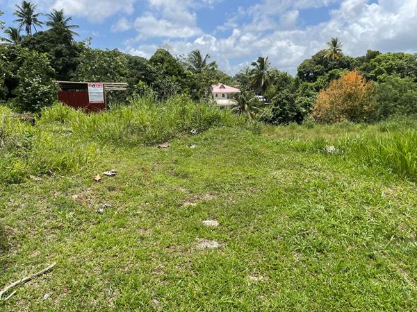 Achat terrain Le Lamentin - 1617 m² - 190 000 €