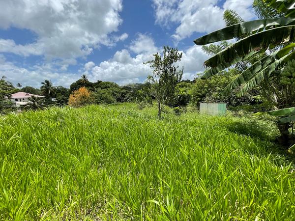 Achat terrain Le Lamentin - 1617 m² - 190 000 €