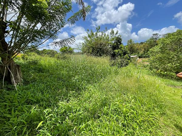 Achat terrain Le Lamentin - 1617 m² - 190 000 €