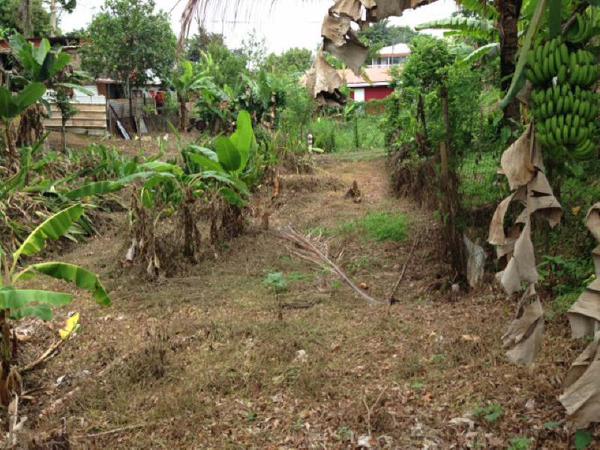 Achat terrain Saint-Joseph - 745 m² - 72 000 €