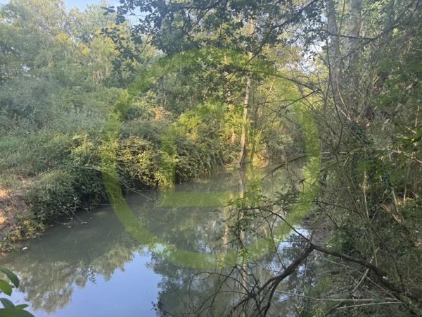 Propriété à LAMOTTE BEUVRON (41600)