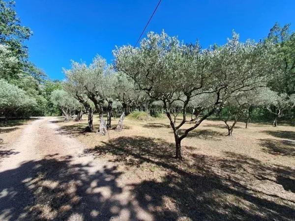 Vente                                                      Propriété
                        
                     6 pièces                      192 m2                     à Salernes