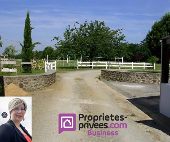 ILLE-ET-VILAINE - PROCHE DE RENNES -  Bazouges Sous Hede  ENSEMBLE IMMOBILIER  30 pièce(s) 600 m2