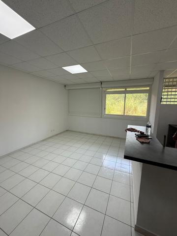 Appartement T2 au RDC + jardinet au centre ville Cayenne - 890 €
