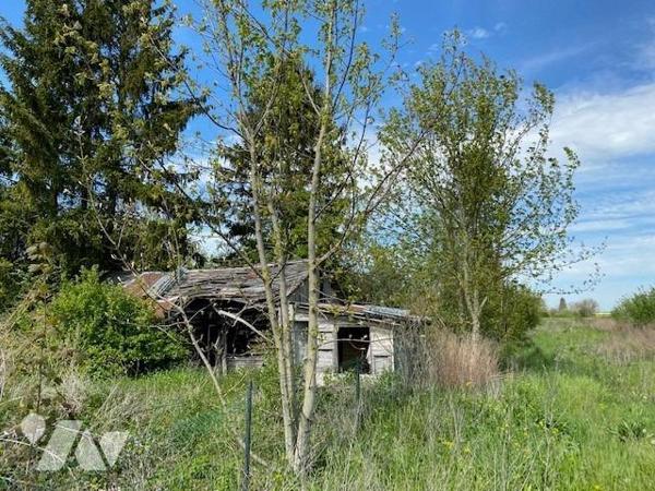 PRUNAY : Terrain de loisir arboré