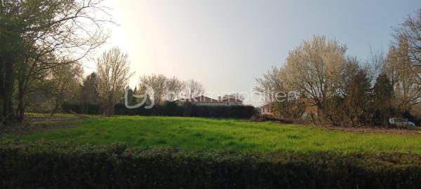 Lotissement de 2 488 m²