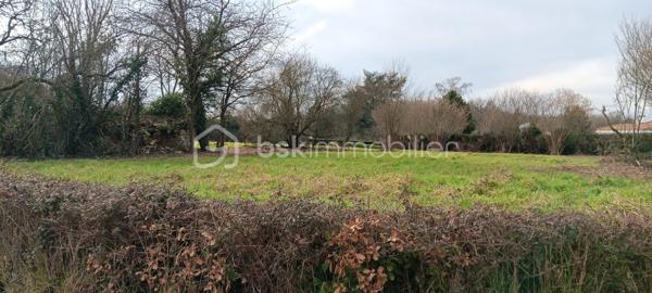 Lotissement de 2 488 m²