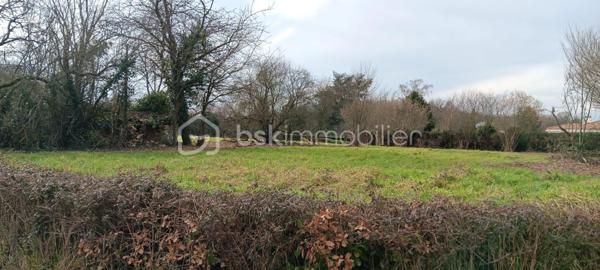 Lotissement de 2 488 m²