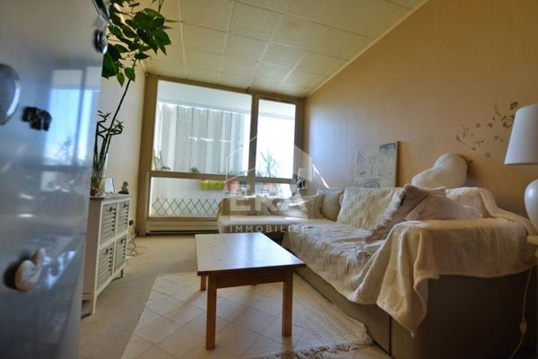Appartement Villeurbanne 2 pièce(s) 35 m2