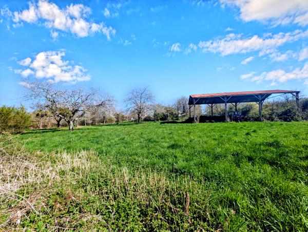 Maison à vendre à Valence-en-Poitou (86700) - Vienne