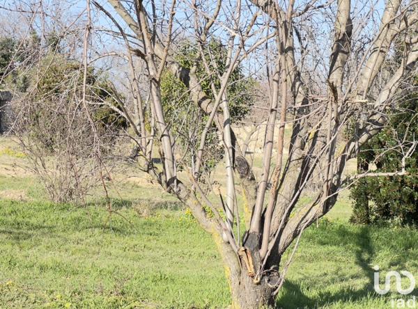 Terrain à vendre 505 m² Saint-Alexandre