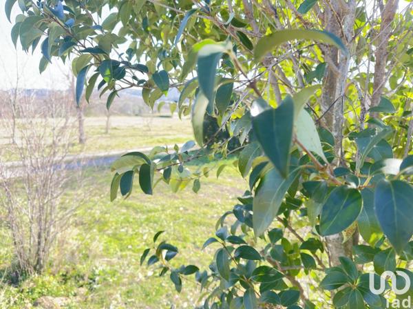 Terrain à vendre 505 m² Saint-Alexandre