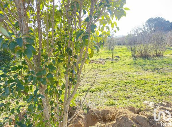 Terrain à vendre 505 m² Saint-Alexandre