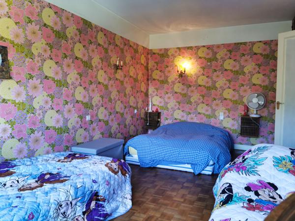 Maison à vendre à Saint-Aignan (41110) - Loir-et-Cher