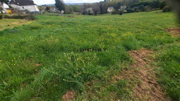 Terrain 2434 m² BRIVE LA GAILLARDE - 19100