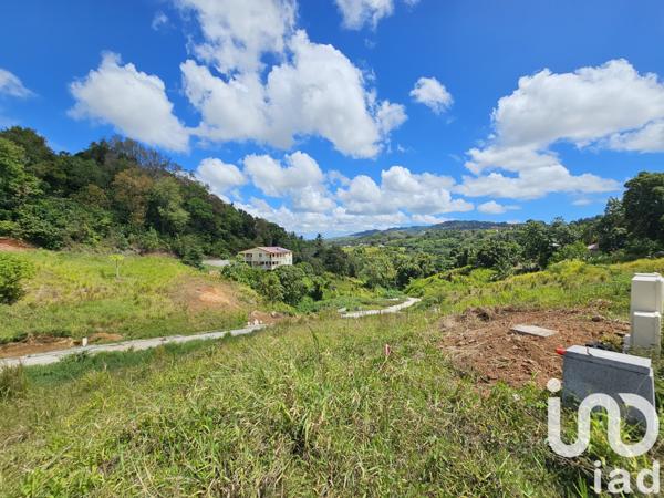 Terrain à vendre 710 m² Ducos