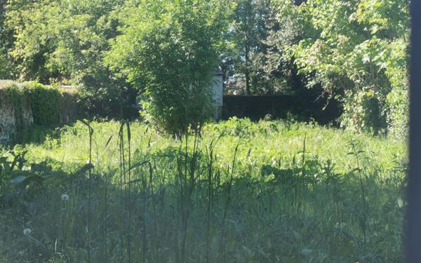 Immeuble à vendre    3 pièces • 251 m2 Mandres-les-Roses