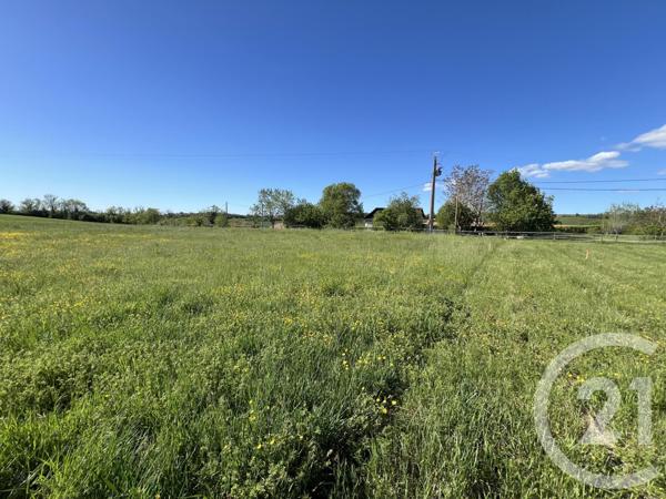 Terrain à vendre  700 m2 STE CROIX - 81