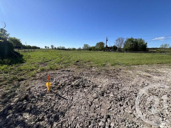 Terrain à vendre  700 m2 STE CROIX - 81