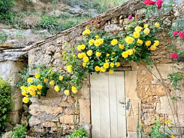 Maison à vendre à Saint-Capraise-de-Lalinde (24150) - Dordogne